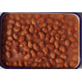 Medammes defectuosos enlatados Broad Beans in Brine